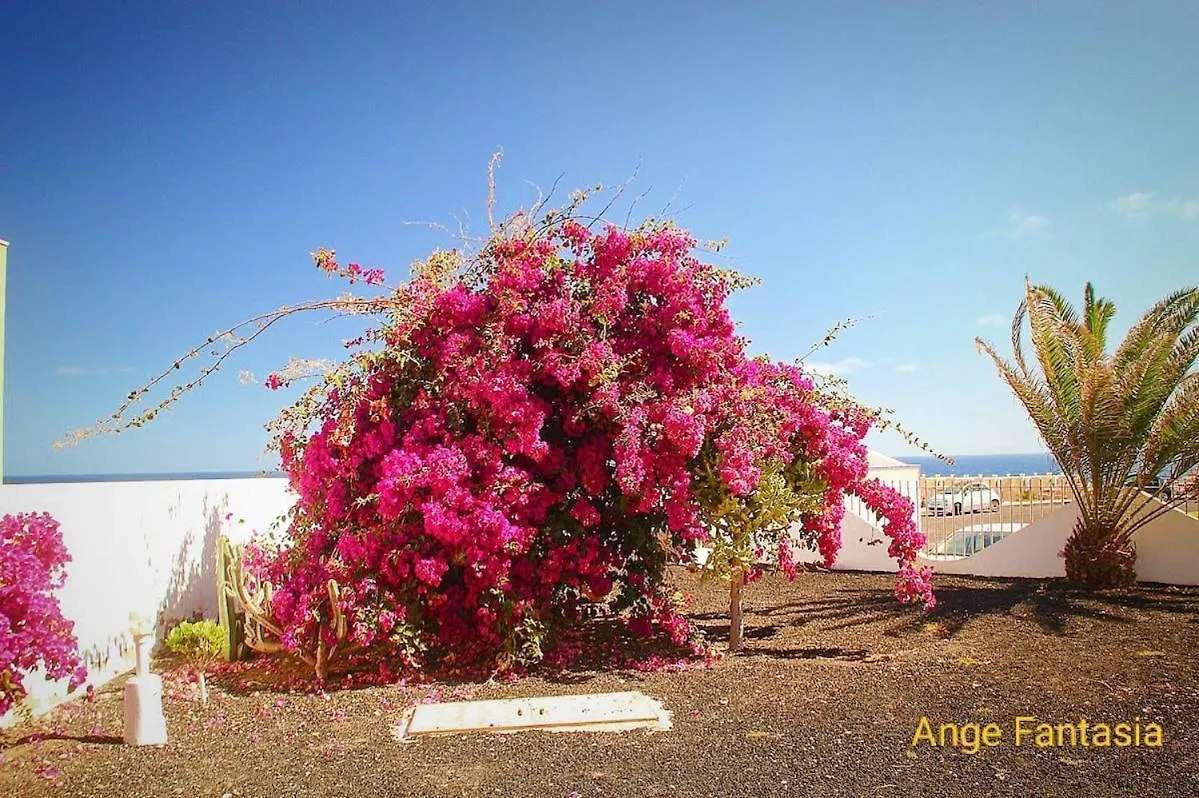 Casa Islands Paradise Costa De Antigua 0*,  Spain